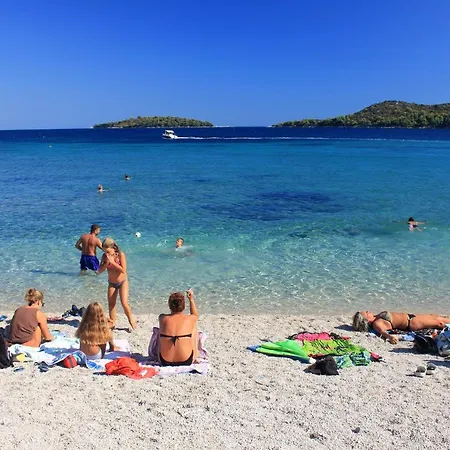 Tatil Evi Family Friendly House With A Parking Space Prizba, Korcula - 15468