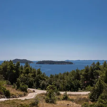 Family-friendly House With Hot Tub Prizba, Korcula - 15468